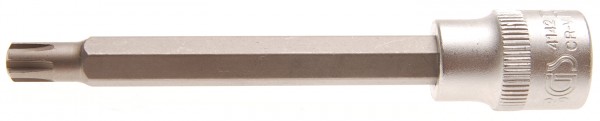 Biteinsatz 10 (3/8), Ribe, M6x100 mm