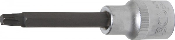 Spezial-T-Profil-Einsatz, 1/2", o. B., 100 mm lang, T40