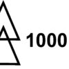 1000v.jpg